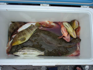 釣果2
