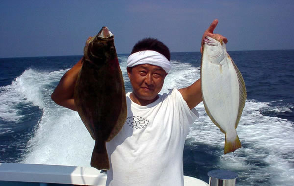 ヒラメ釣果