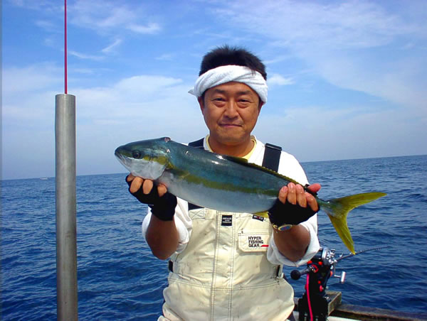 マーシーヒラマサ