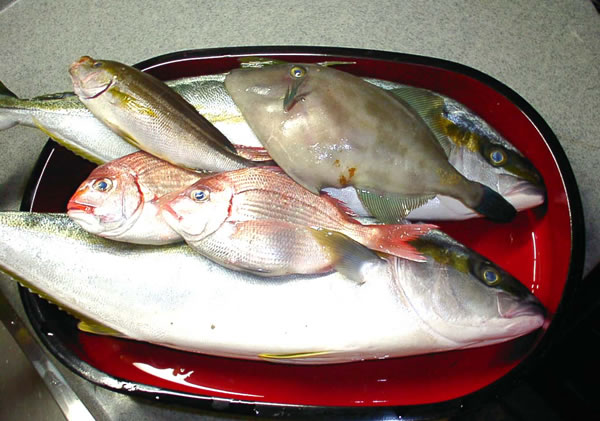 釣果