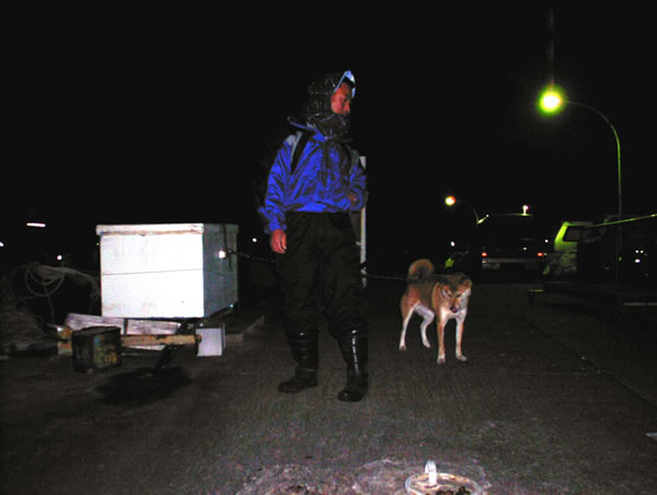 船頭さんと犬