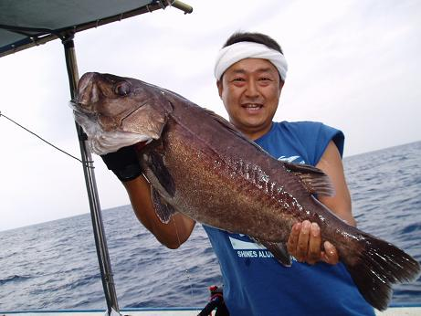 アラ80cm