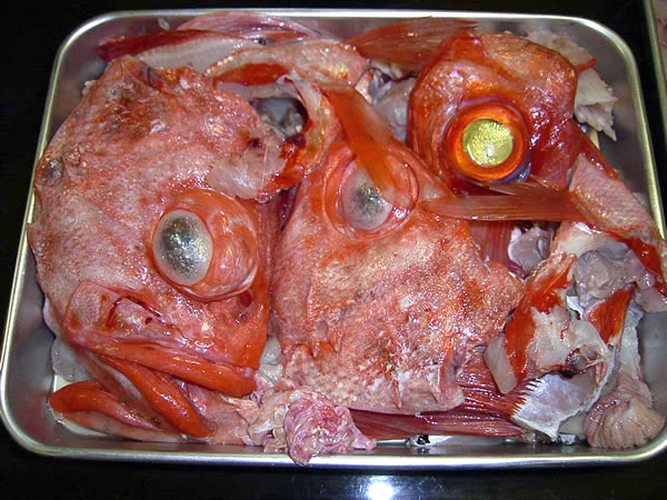 魚のあら