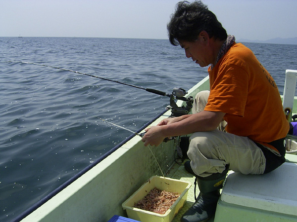 釣り状況(3)