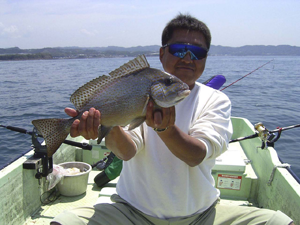 コロダイ