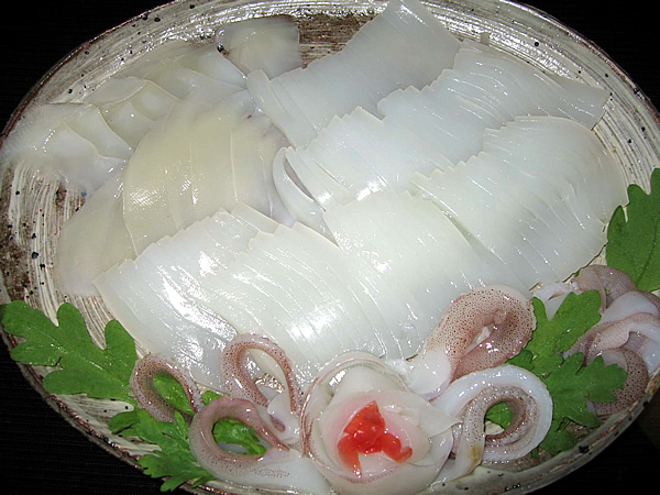 釣果のイカ刺身