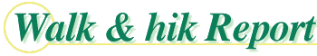 レポート