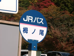 参加メンバー