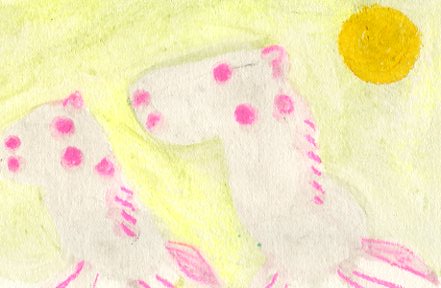 �E�N���b�N�ŉ摜��ۑ����Ă�������