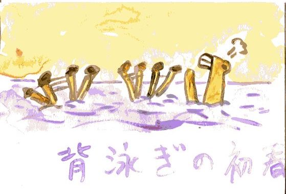 �E�N���b�N�ŉ摜��ۑ����Ă�������